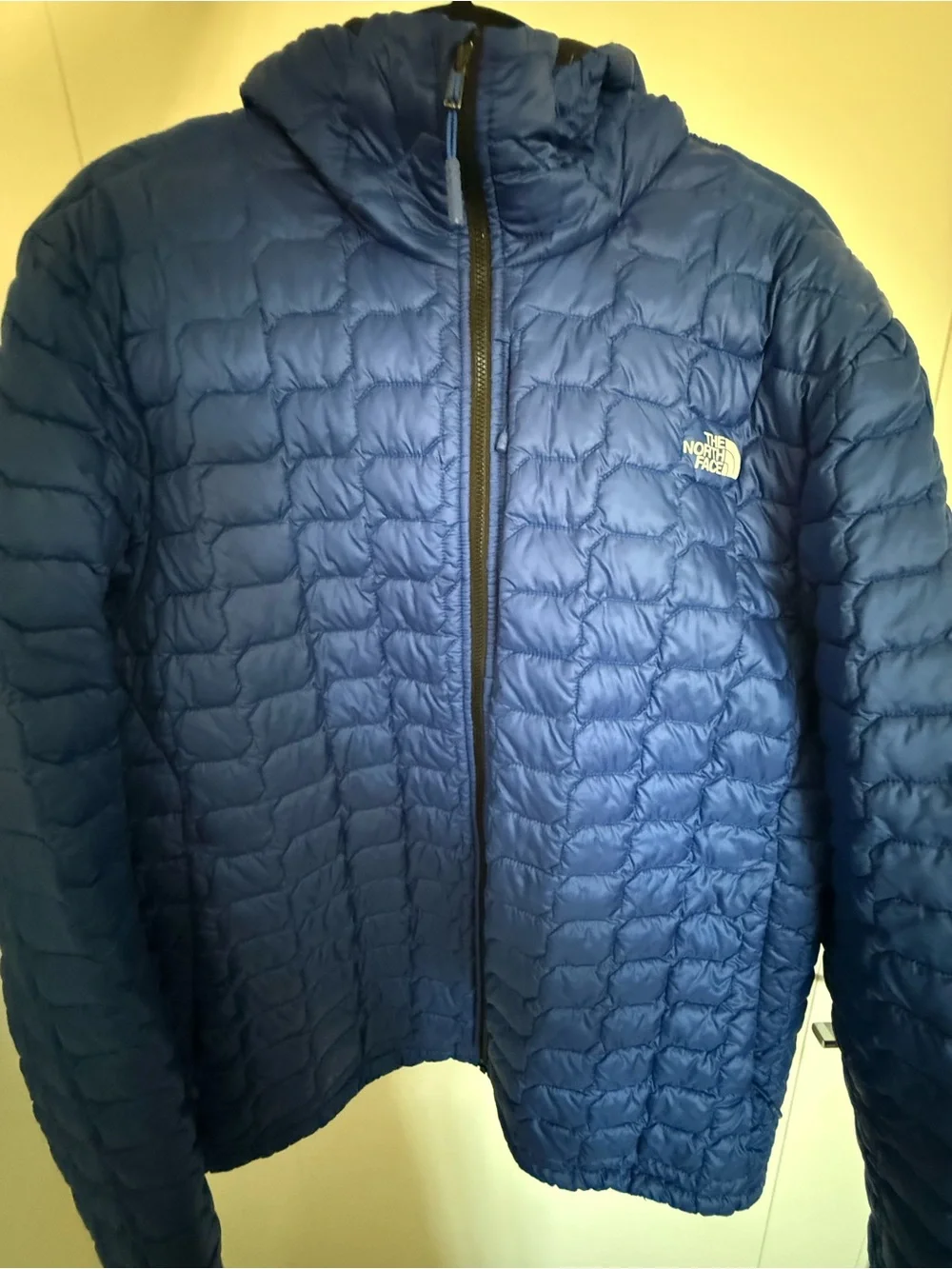 The North Face Men’s Insulated Blue Quilted Jacket